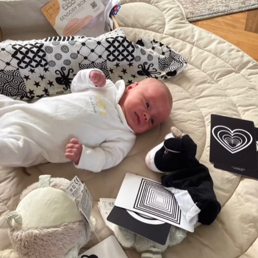 Discover the Perfect Gift: Award-Winning Sensory Box Subscription for Babies