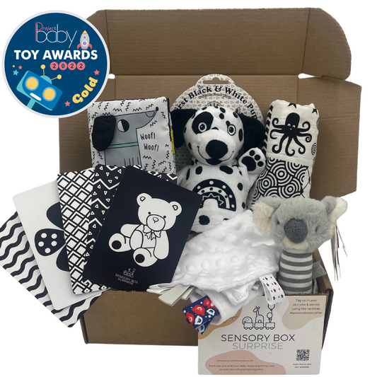 Age 0 - 3 Months Sensory Box  | Subscription - 4 Boxes in Total | Every 3 Months |Free Delivery | Or One-Time Purchase (Pay for 0-3 Month Box Only)