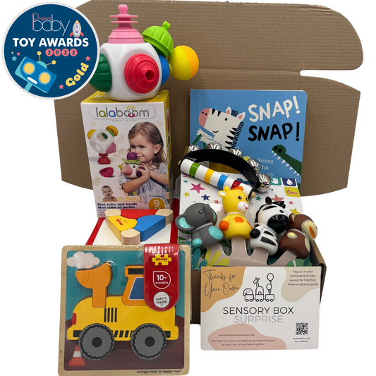 Age 9 - 12 Months Sensory Box | 1 Box in Total  | Free Delivery | One-Time Purchase (Receive One Box Only)