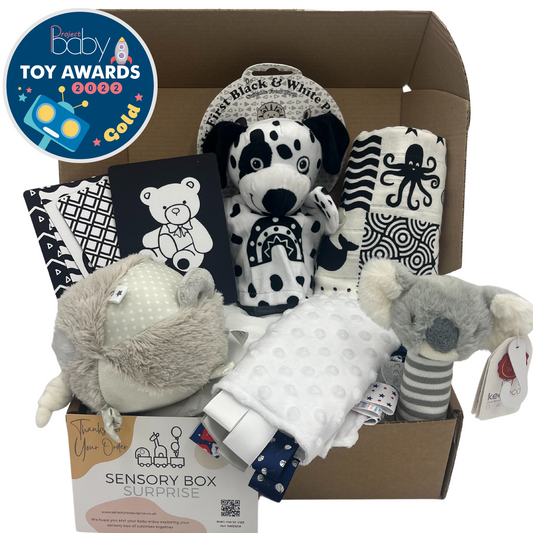 Age 0 - 3 Months Sensory Box  | Subscription - 4 Boxes in Total | Every 3 Months |Free Delivery | Or One-Time Purchase (Pay for 0-3 Month Box Only)