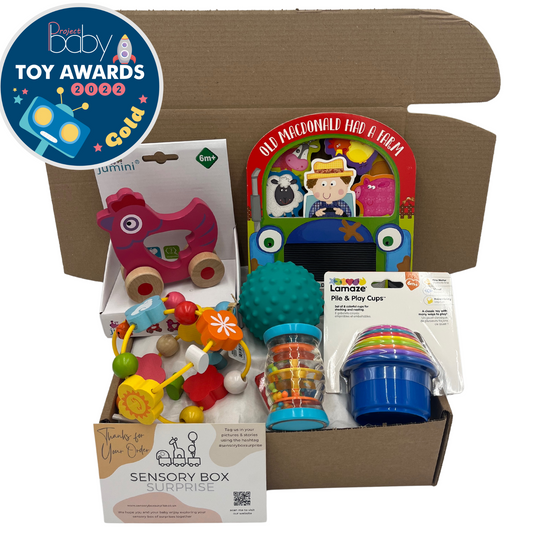 Age 6 - 9 Months Sensory Box | Subscription - 2 Boxes in Total | Every 3 Months  | Free Delivery | Or One-Time Purchase (Pay for 6-9 Month Box Only)