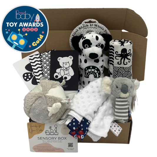 Age 0 - 3 Months Sensory Box  | Subscription - 4 Boxes in Total | Every 3 Months |Free Delivery | Or One-Time Purchase (Pay for 0-3 Month Box Only)