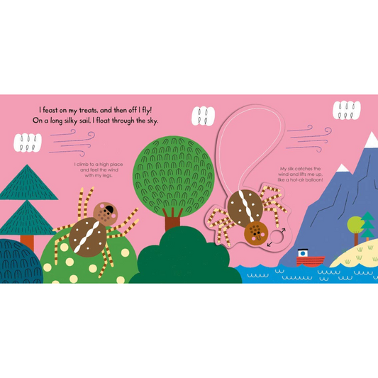 Spider My Little Green World Board Book - Interest age 2-5 Years