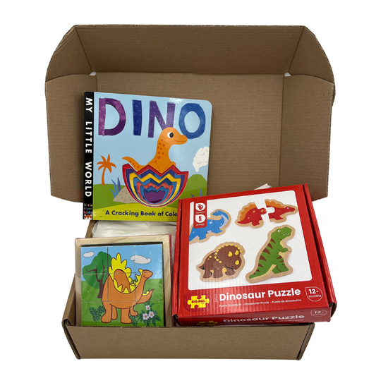 Dinosaur Theme Sensory Surprise Box - Suitable For Ages 1 year+