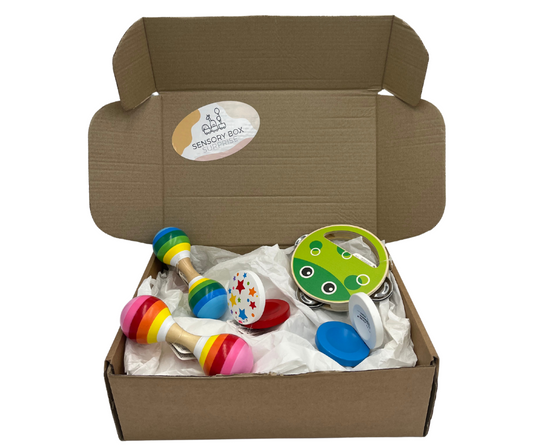 Music Theme Sensory Surprise Box - Suitable For Ages 1 year+