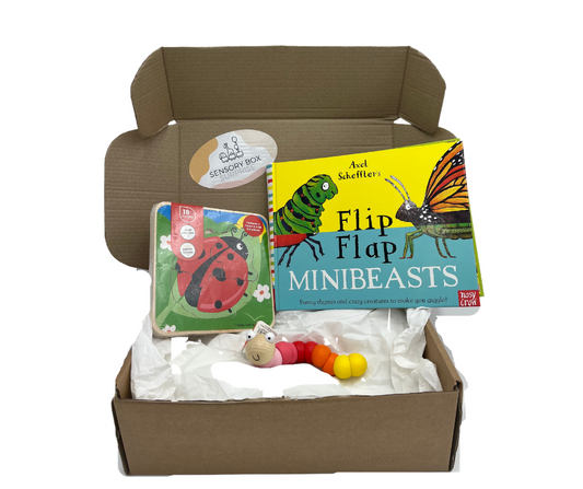 Minibeast Theme Sensory Surprise Box - Suitable For Ages 18 months+